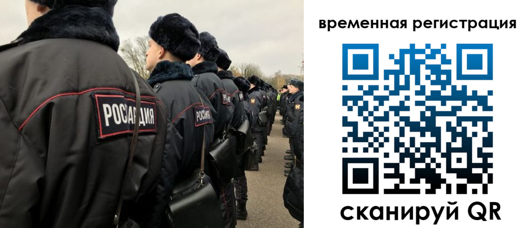 прописка гарантия в Борзе